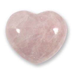 사랑은 낭만적이라 지독하리만큼 아프고 금방 시들어버려서 | 인스티즈