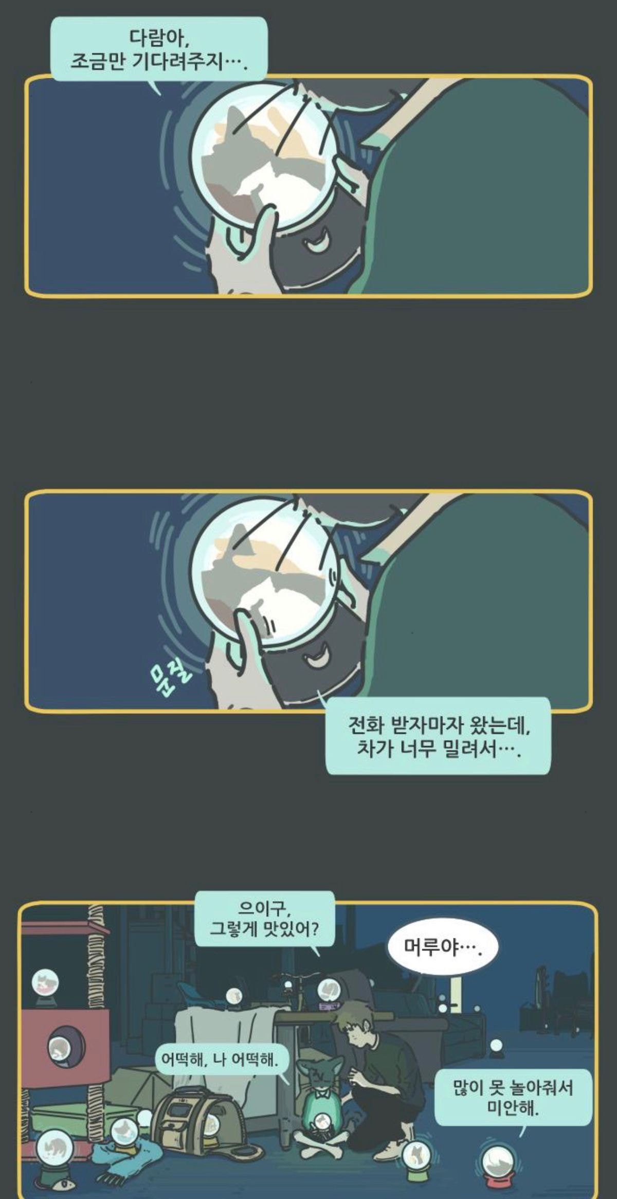 죽고 난 뒤 주인이 자신을 버린게 아니라는걸 안 고양이 | 인스티즈