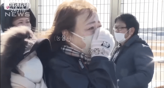 일본에서 중국으로 판다 샹샹 반환 되던 날 일본인들 | 인스티즈