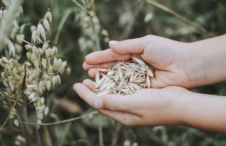 장수하기 위해 꼭먹어야하는 의외의 식품 jpg | 인스티즈