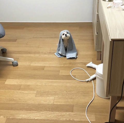 언니 나 할말이 있어..... | 인스티즈