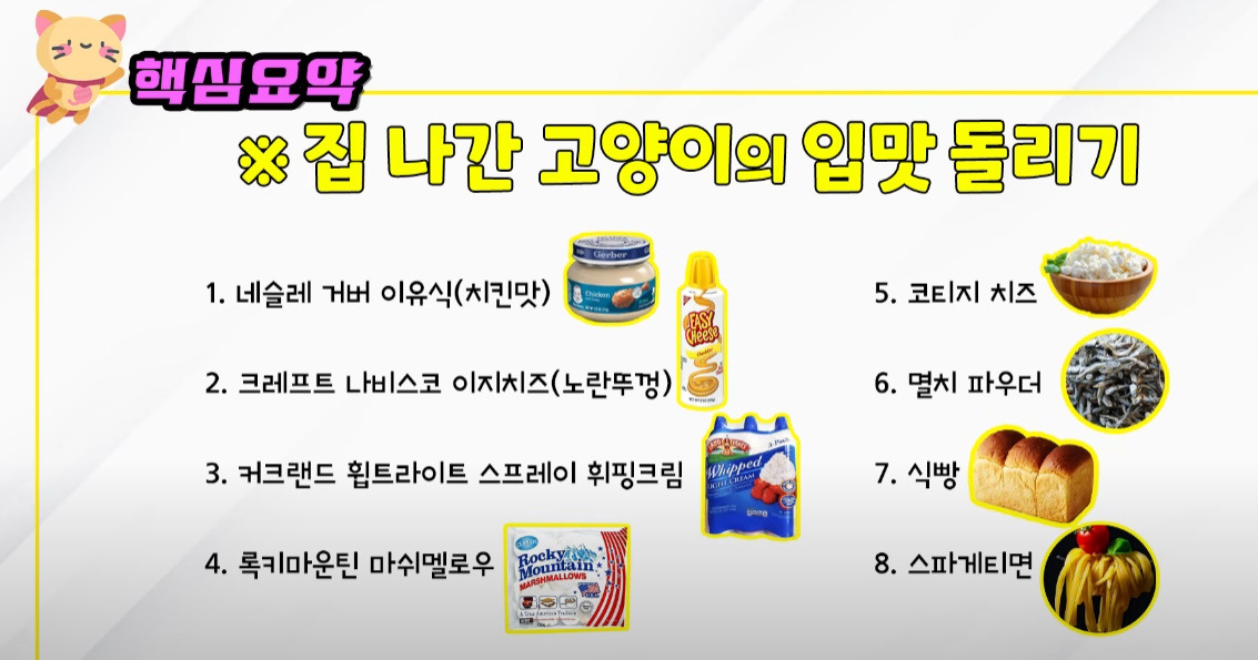 수의사가 얘기한 고양이가 좋아하는 사람 음식 | 인스티즈