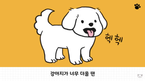 강아지 수면 자세 이유 | 인스티즈