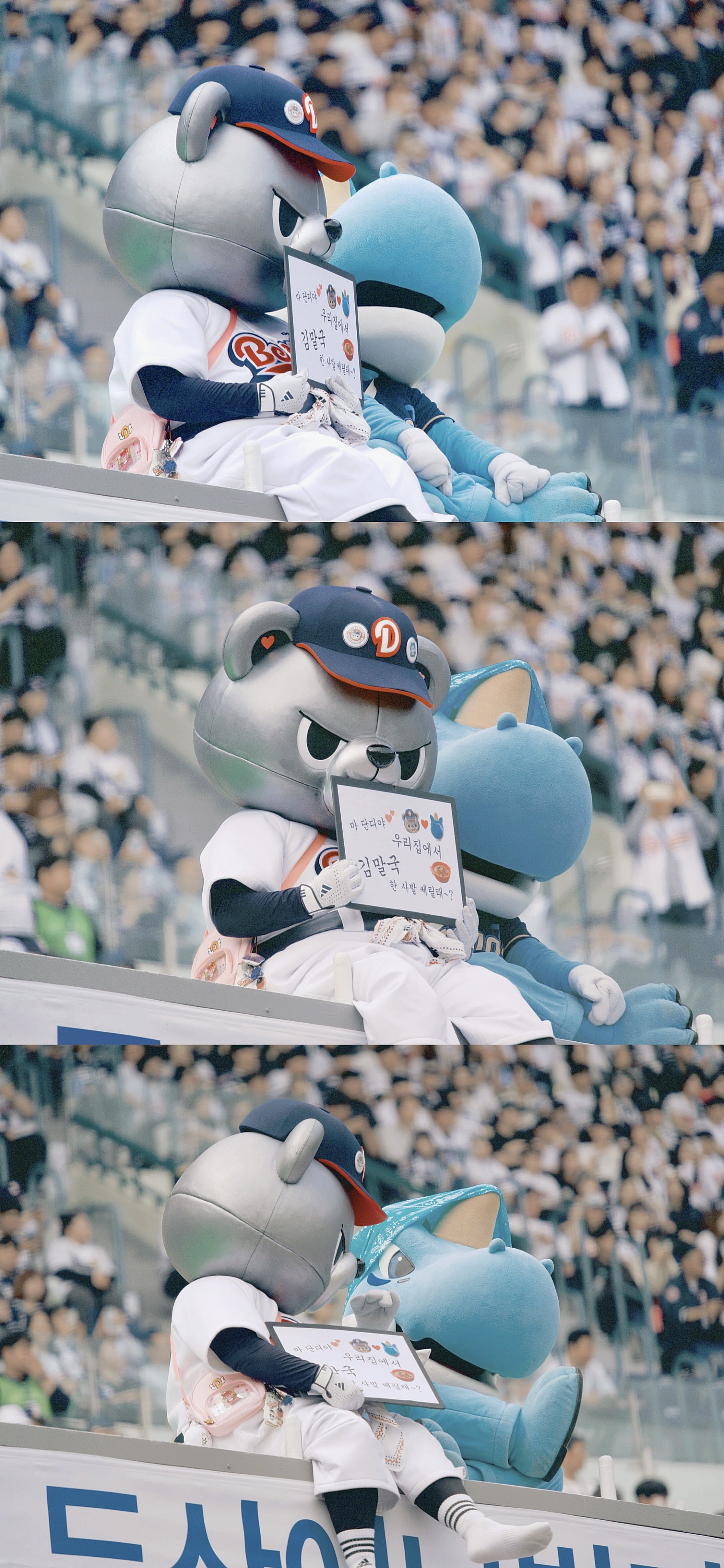 단디 이미지