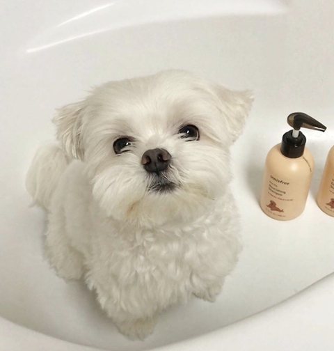 언니 나 할말이 있어..... | 인스티즈