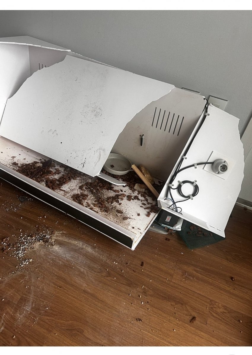 도마뱀 분양글을 올린 중딩 | 인스티즈