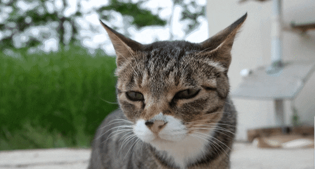 [hahaha] 양어장 일짱 하연님 | 인스티즈