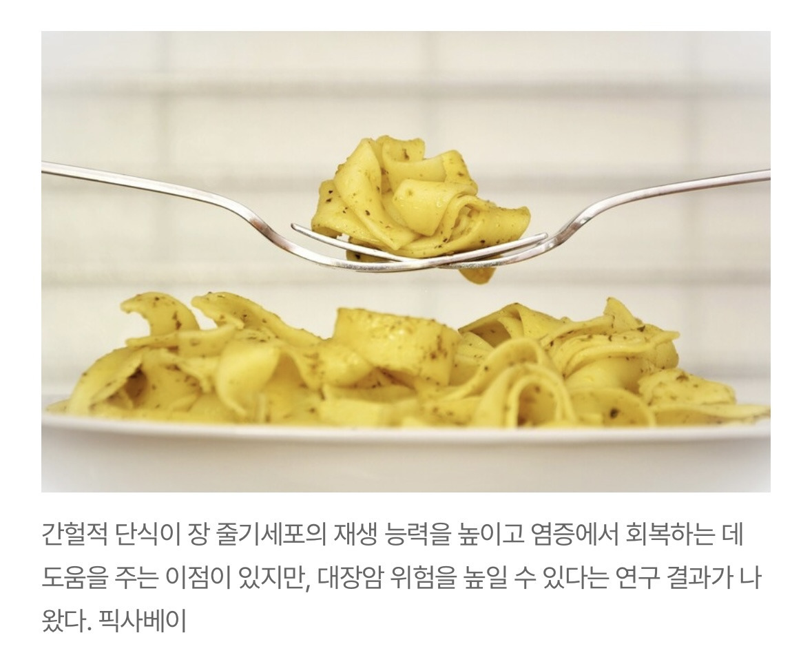 간헐적 단식의 양면…장 재생 돕지만 대장암 위험 커져 | 인스티즈