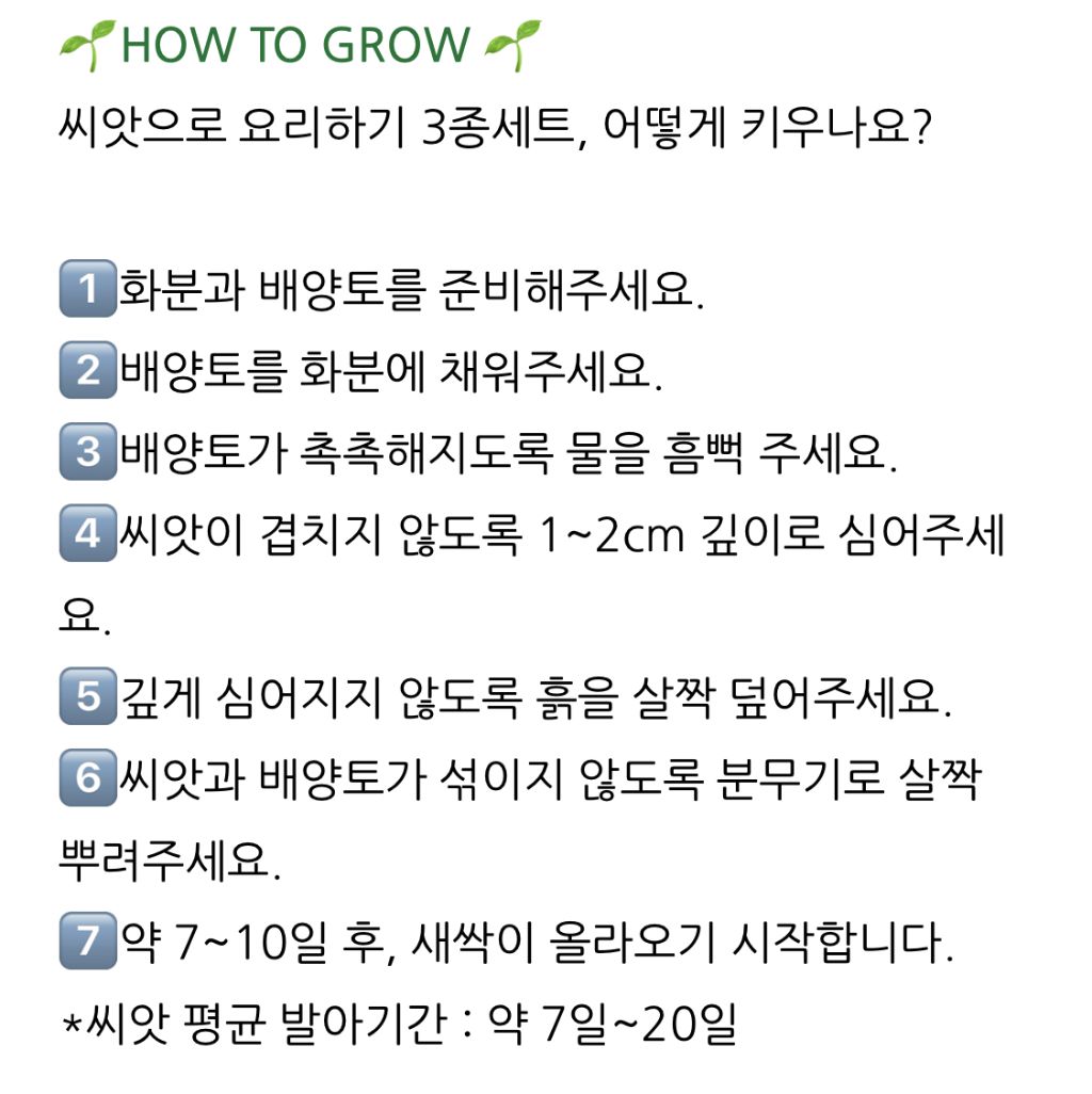 다이소 신상 씨앗으로 요리하기 | 인스티즈