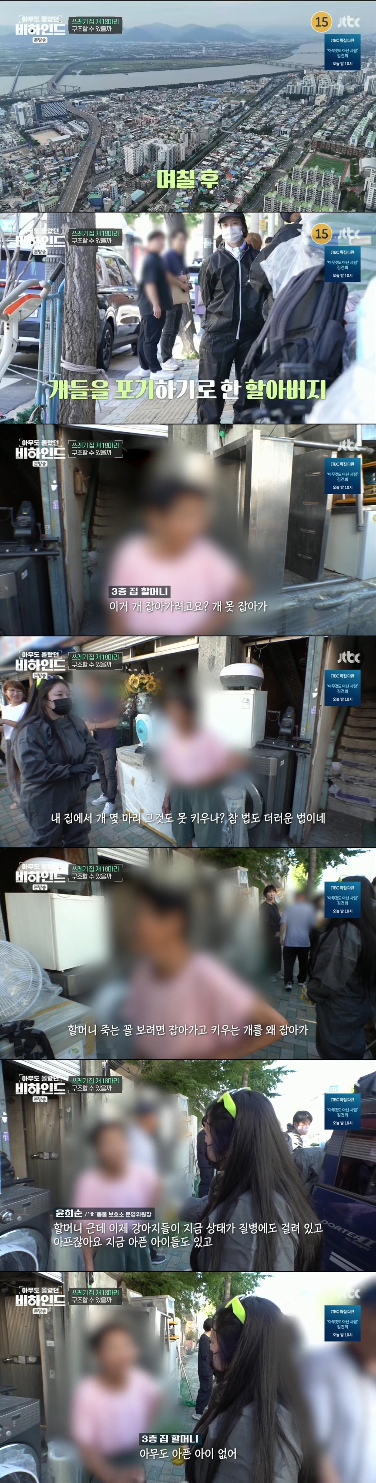 할머니와 할아버지와 함께 쓰레기집에서 살던 18마리의 강아지들 | 인스티즈