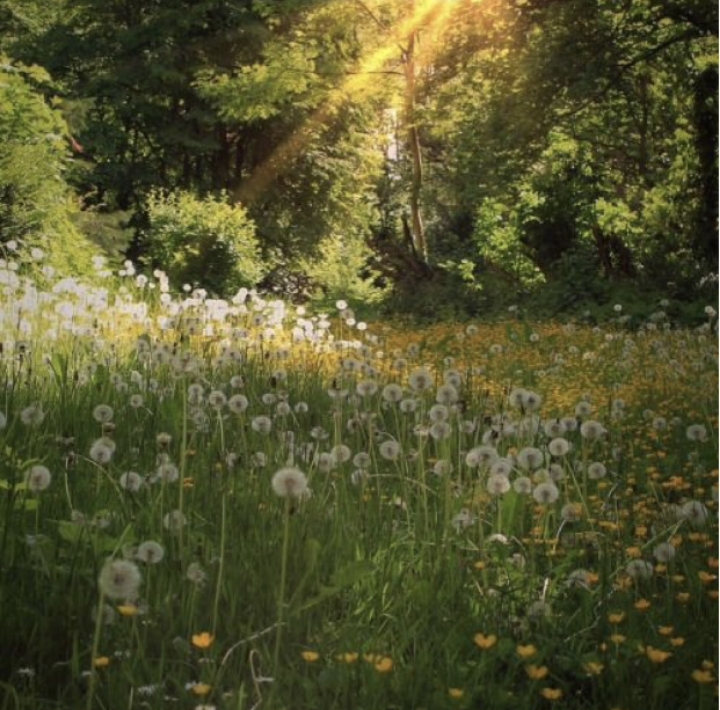 지극히 평화롭고 사랑스러운 | 인스티즈