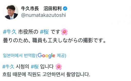 일본에서 계속 흐릴때 벚꽃 홍보사진 찍는법 | 인스티즈