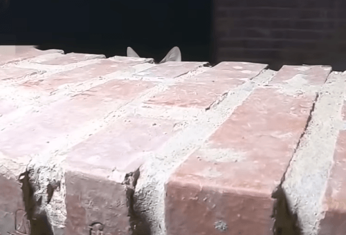 [hahaha] 양어장 일짱 하연님 | 인스티즈