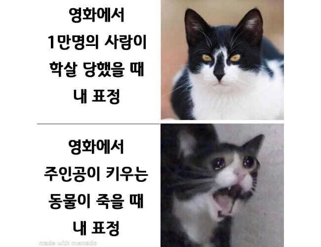 영화에서 사람과 동물이 죽을때의 차이 | 인스티즈
