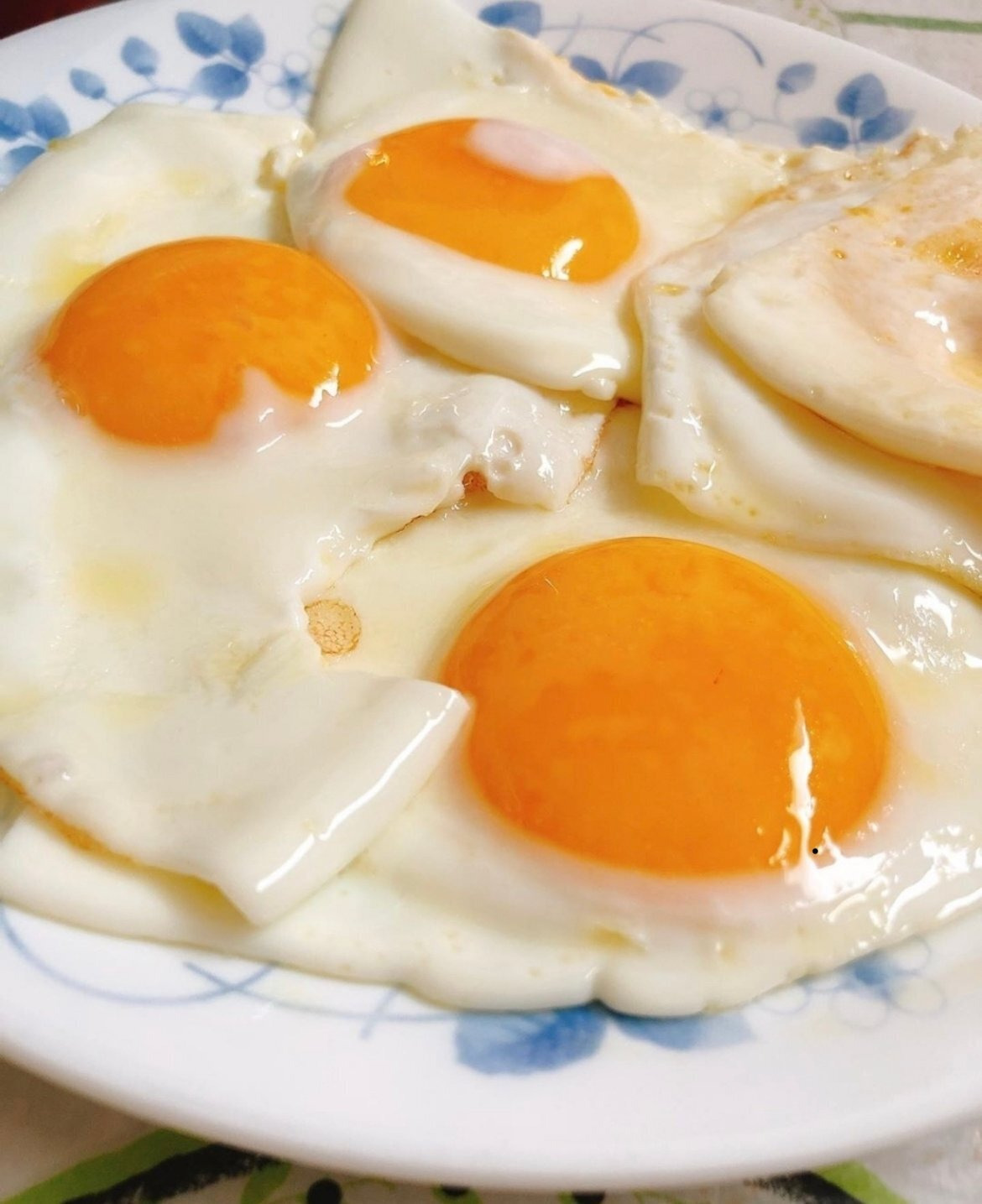 은근히 못먹는 사람들 많다는 계란스타일 | 인스티즈