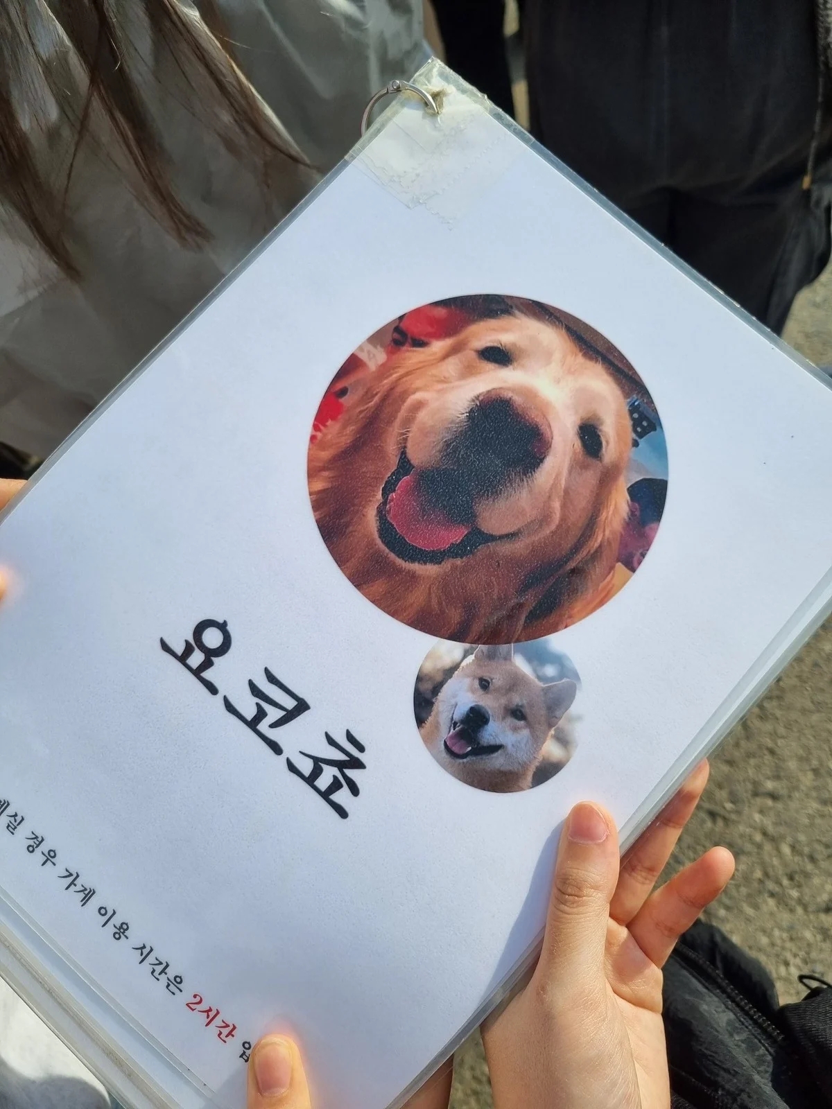 맥락없이 다짜고짜 하는 개자랑을 좋아하는 편 | 인스티즈