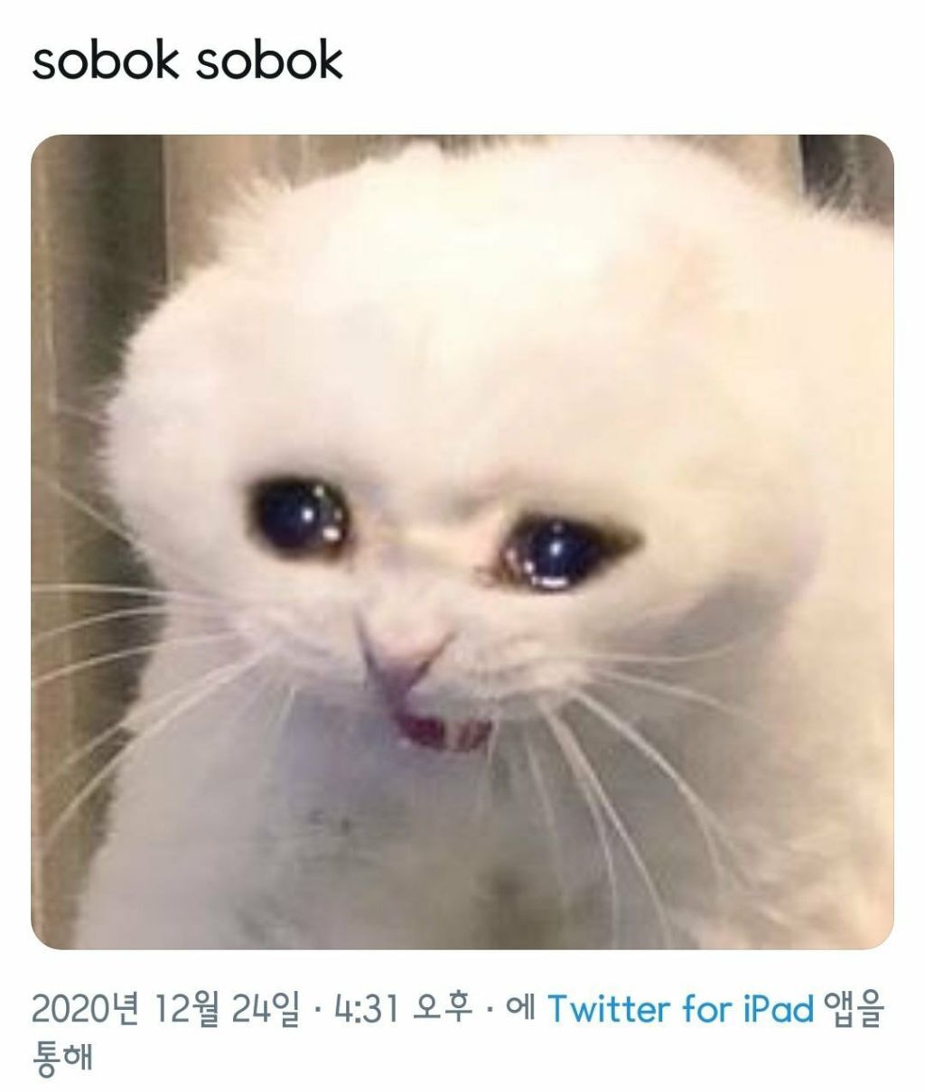 한국어 단어 하나 때문에 난리난 방탄소년단 해외 팬덤 | 인스티즈