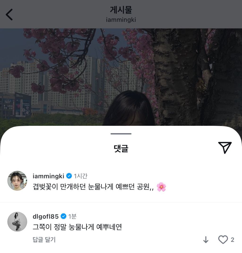 강민경 인스타그램 업데이트 | 인스티즈