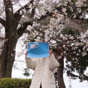 일본에서 계속 흐릴때 벚꽃 홍보사진 찍는법 | 인스티즈