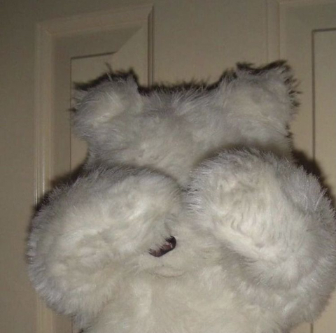 사랑은 낭만적이라 지독하리만큼 아프고 금방 시들어버려서 | 인스티즈