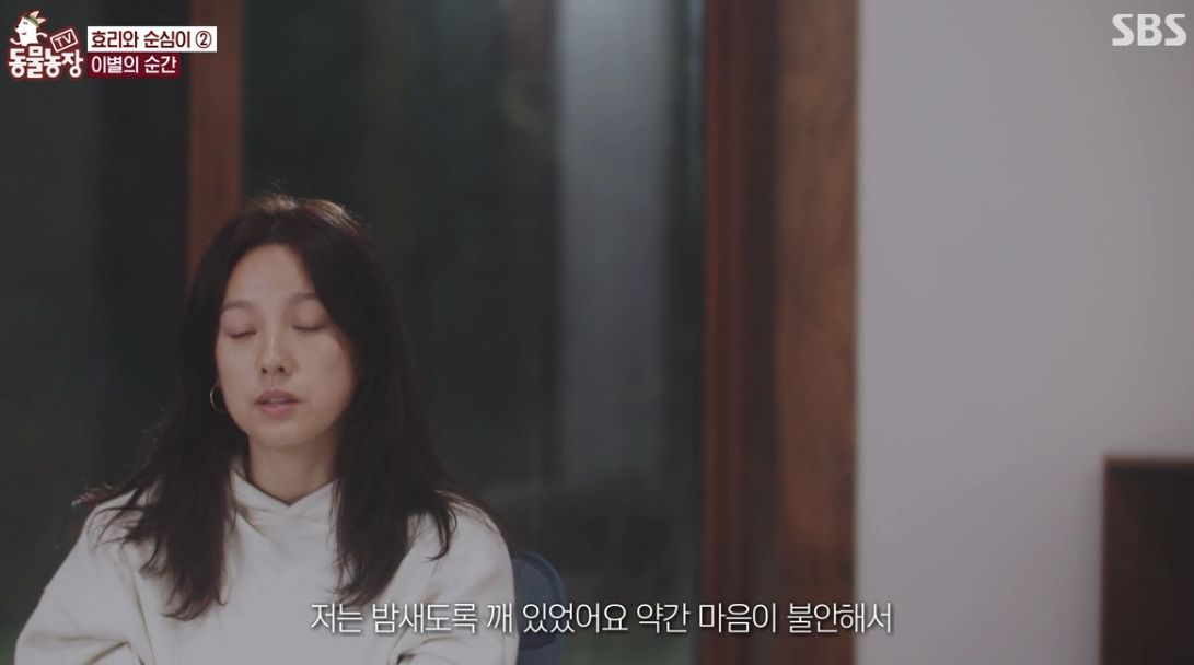 이효리 반려견 순심이가 죽기 전 다른 동물들이 보인 반응 | 인스티즈