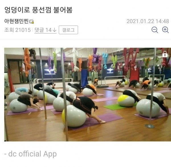 허언증 갤러리 | 인스티즈