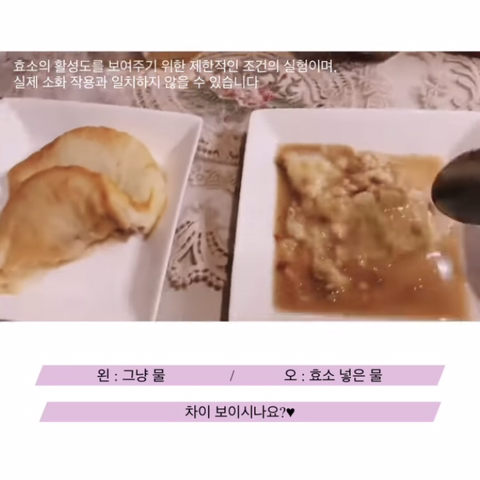 인스타스타들이 공구하는"효소” 활성 실험들을 보면 실소 나오는 이유 | 인스티즈