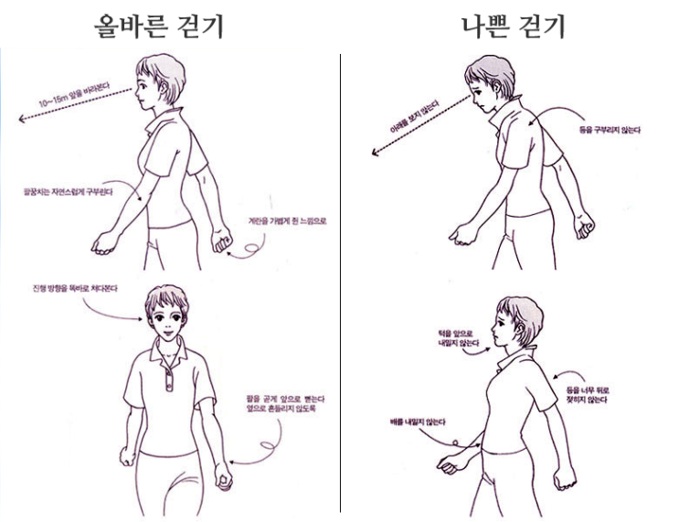 올바른 자세로 걷는/서있는 방법.jpg | 인스티즈