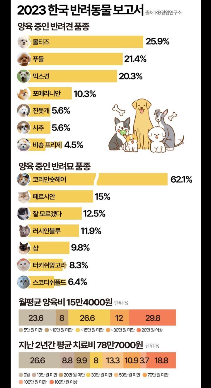 고양이 강아지 종 별 인기순위와 연도별 추이 | 인스티즈
