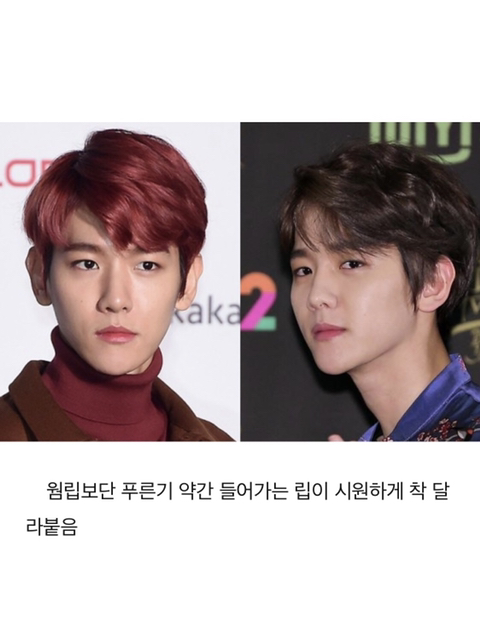 엑소 백현 퍼스널 컬러 분석 | 인스티즈