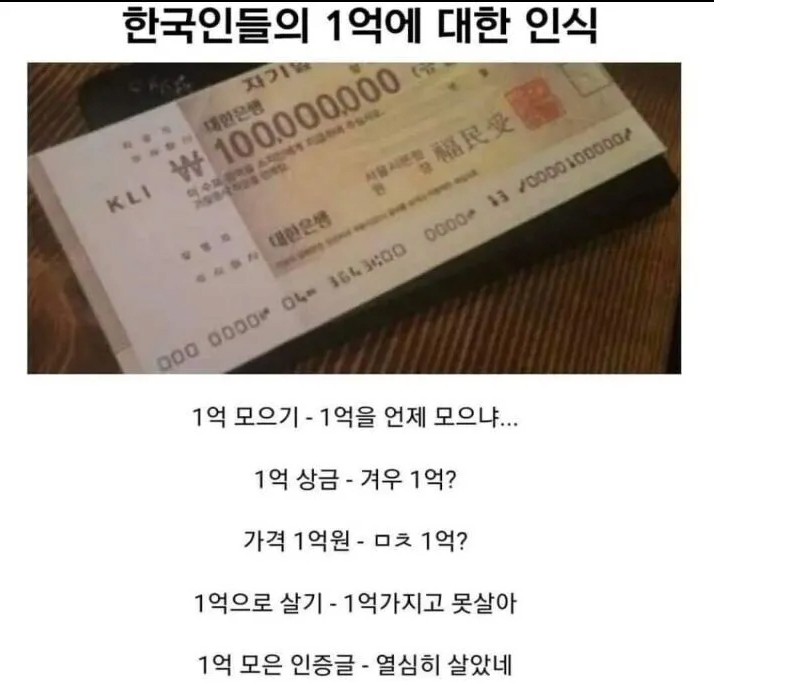 한국인들의 1억인식 | 인스티즈