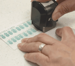 호놀룰루 쿠키.gif | 인스티즈