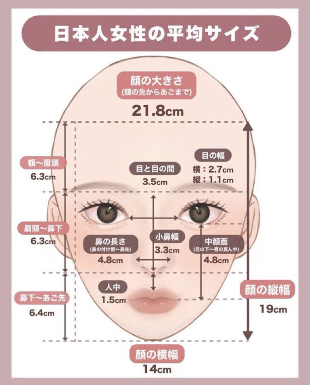 일본인 여성 얼굴 평균 사이즈 | 인스티즈