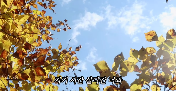 반려묘를 떠나보낸 유튜버가 올린 영상 | 인스티즈