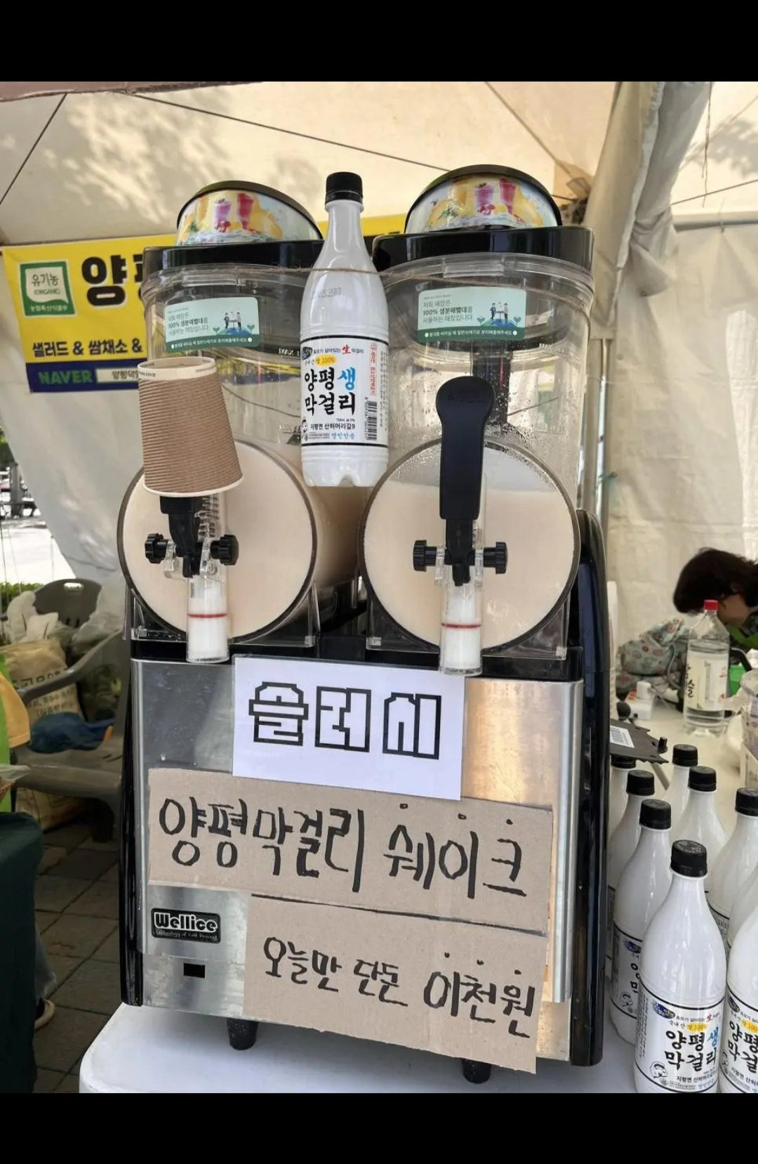성인용 슬러쉬란... | 인스티즈