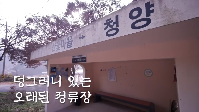 백종원 유튜브 순기능 | 인스티즈