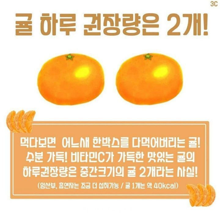 귤 하루 권장량.jpg | 인스티즈