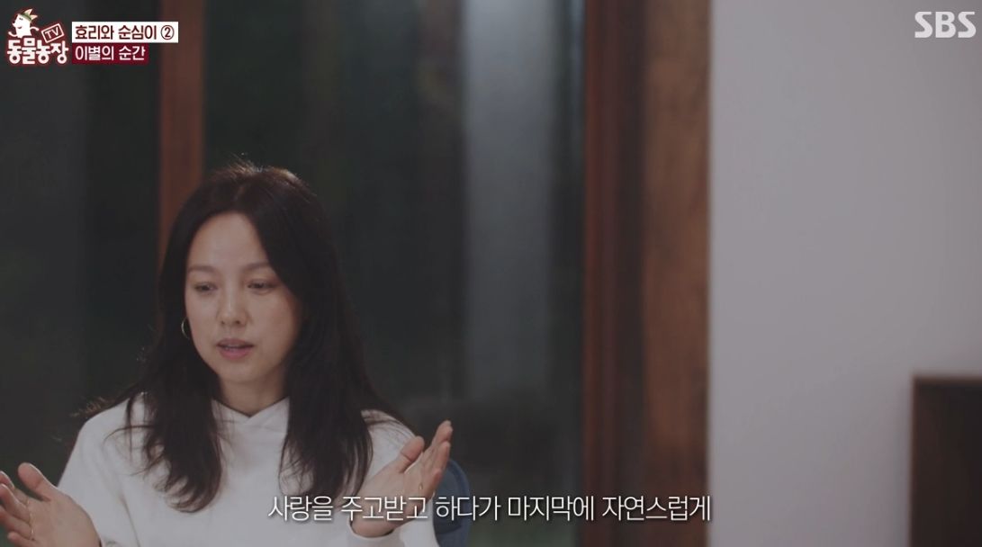 이효리 반려견 순심이가 죽기 전 다른 동물들이 보인 반응 | 인스티즈