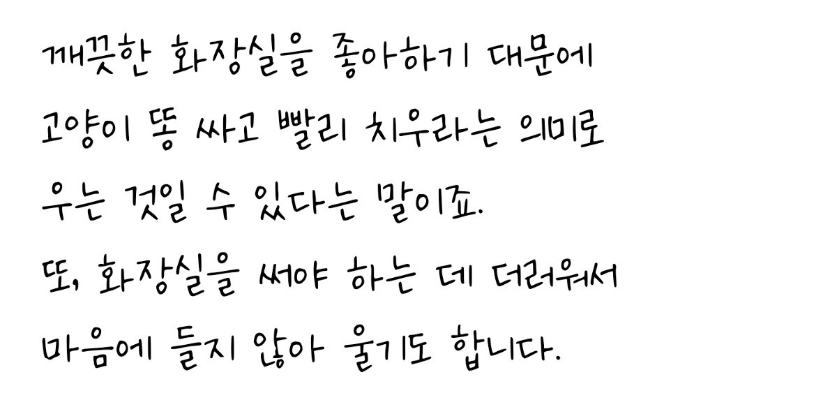 고양이가 배변 후 우는 이유 | 인스티즈