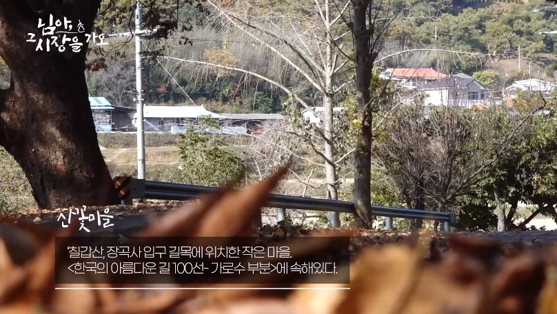 백종원 유튜브 순기능 | 인스티즈