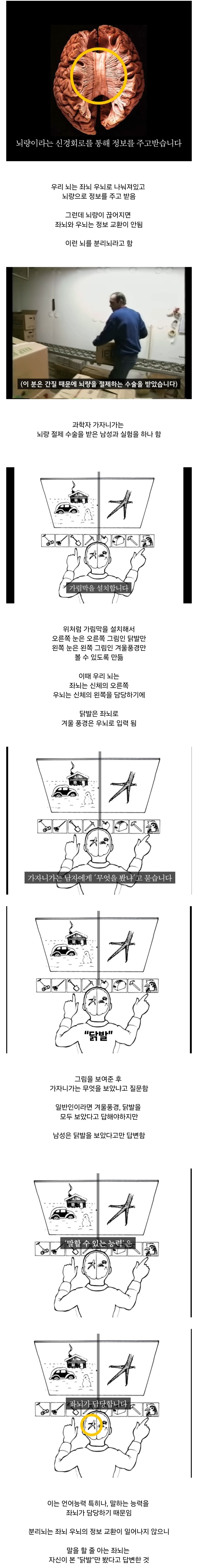 오싹오싹 스스로에게 구라 치는 뇌 | 인스티즈