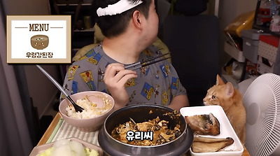 그 먹방 유튜버네 고양이 근황 | 인스티즈