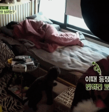 보는 사람도 행복해지는 강승윤 강아지 토르의 변화.jpg | 인스티즈