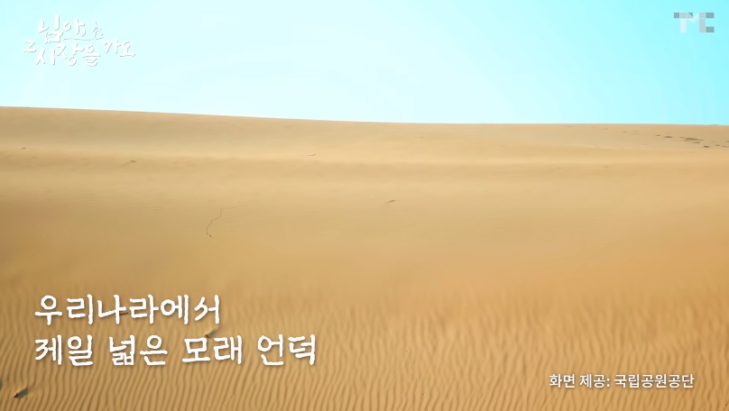 백종원 유튜브 순기능 | 인스티즈