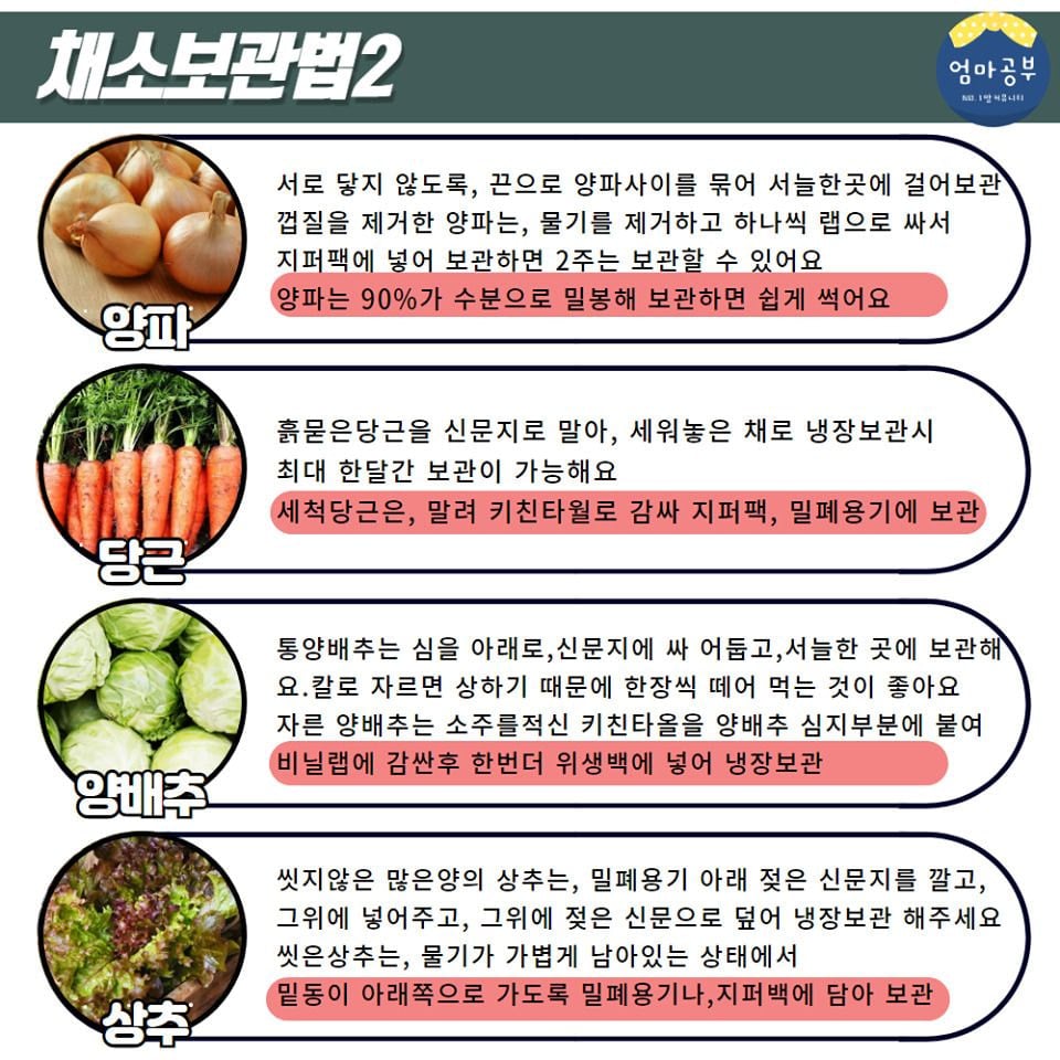 금방 상해버리는 채소 20종 오래 보관하는 법 | 인스티즈
