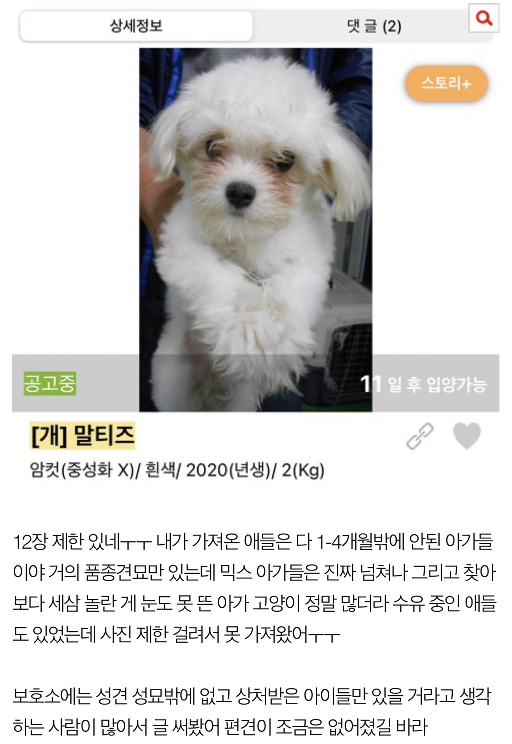 보호소에도 애기 많아 | 인스티즈