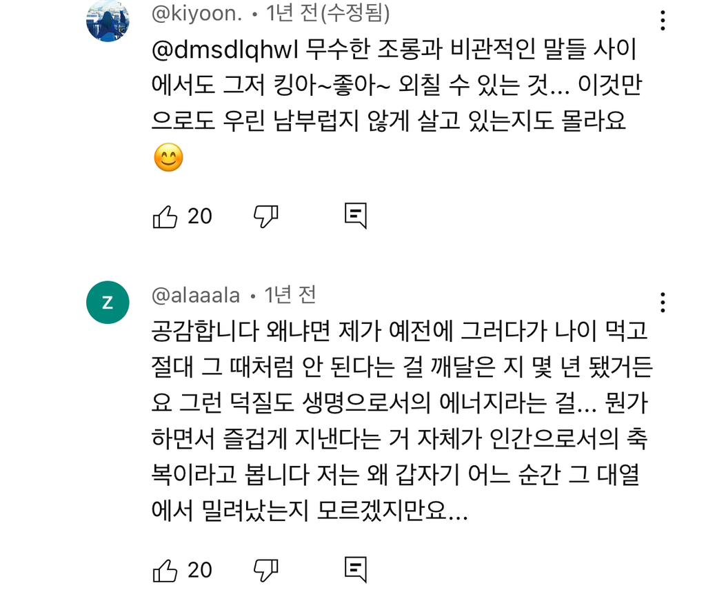 예전엔 아이돌이나 애니나 취미에 미친듯이 몰두하는 사람들 한심해보였는데 요즘은 좋아보임 | 인스티즈