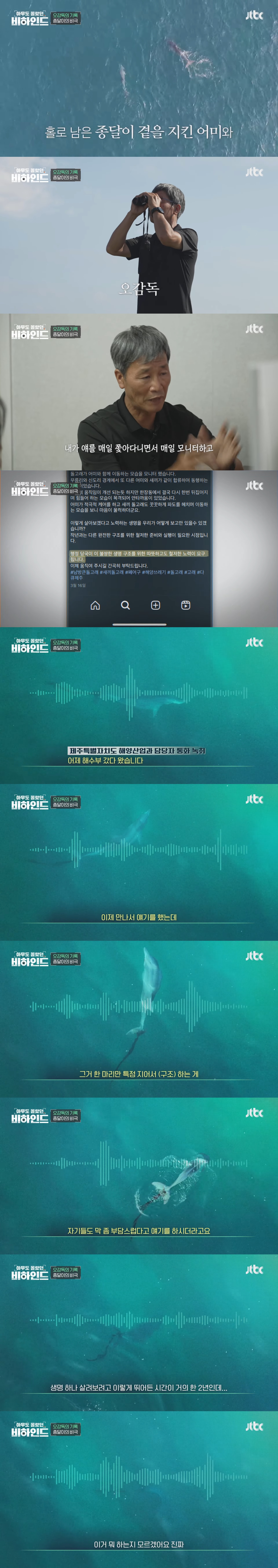 인간이 버린 쓰레기에 걸려 고통 받는 돌고래들을 따라다니는 돌고래 아빠 | 인스티즈