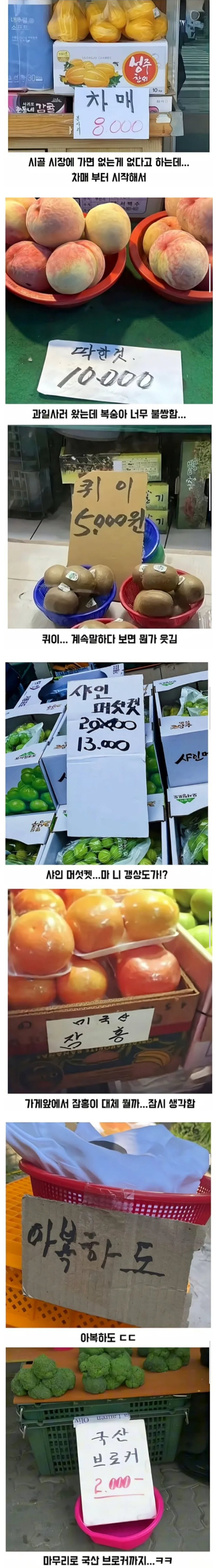 없는게 없다는 시골 전통시장 | 인스티즈