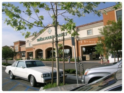 현재 심각한 미국 샌프란시스코 상황 | 인스티즈